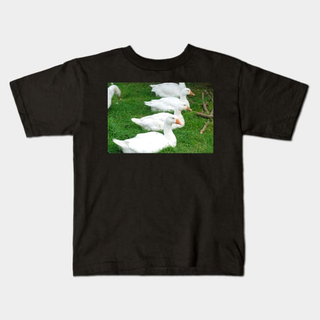 Geese In A Row Kids T-Shirt by RichardGibb